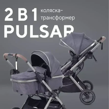 Rant Pulsar Graphite (2в1)